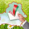 Решение Кореличского райисполкома об образовании участков для голосования по проведению выборов Президента Республики Беларусь