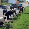 16 апреля — республиканский субботник. Подборка фотографий с субботников прошлых лет на Кореличчине
