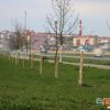 Работнікі Карэліцкага раённага ўнітарнага прадпрыемства жыллёва-камунальнай гаспадаркі пачалі азеляненне раённага цэнтра
