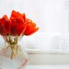 Подарок надолго: как хранить срезанные мимозы, тюльпаны и розы
