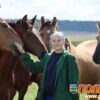 В этом году коллектив ГП "Племзавод Кореличи" отмечает 85-летний юбилей