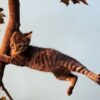Оранжевый уровень опасности из-за сильного снега прогнозируется в Беларуси