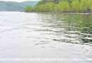 В озере Байкал ученые обнаружили неизвестный науке вид водорослей