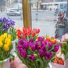 До 8 марта остается три недели. Как будем отдыхать по случаю международного женского дня