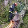 В Кореличском районе из-за последствий циклона зафиксировано падение деревьев