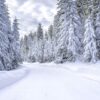 Скользко и туманно. Что надо знать белорусам о погоде 20 января